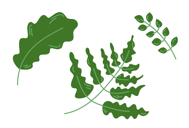 Feuilles De Forêt Dans Un Style Nature Vert. Illustration Plate Vectorielle