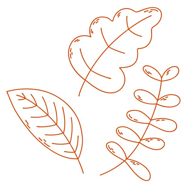 Les feuilles de la forêt tombent les baies et les branches l'humeur d'automne clipart