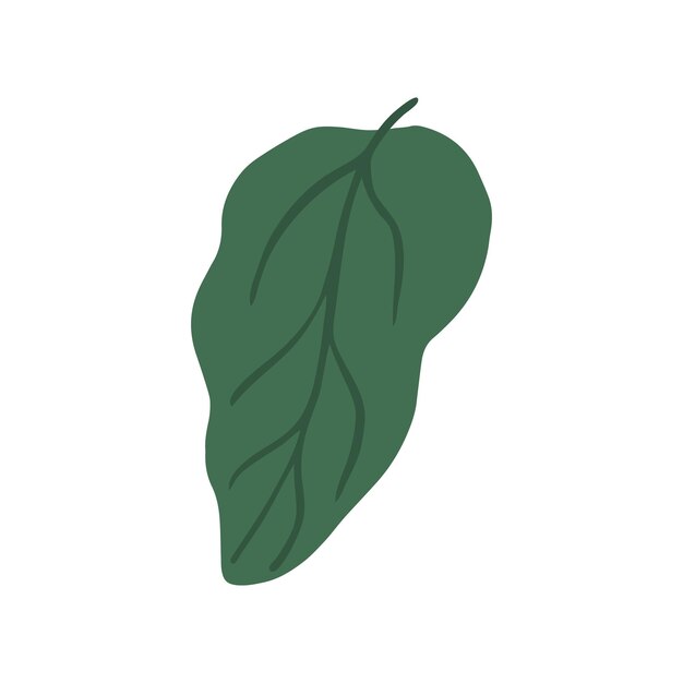 Feuilles de légumes de la ferme végétalienne bio feuille verte naturelle isolée sur fond blanc