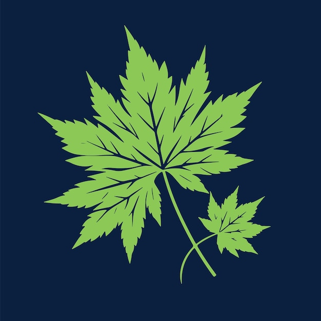 Des feuilles de marijuana vertes et fraîches sur un fond varié
