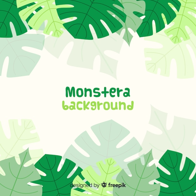 Feuilles De Monstera