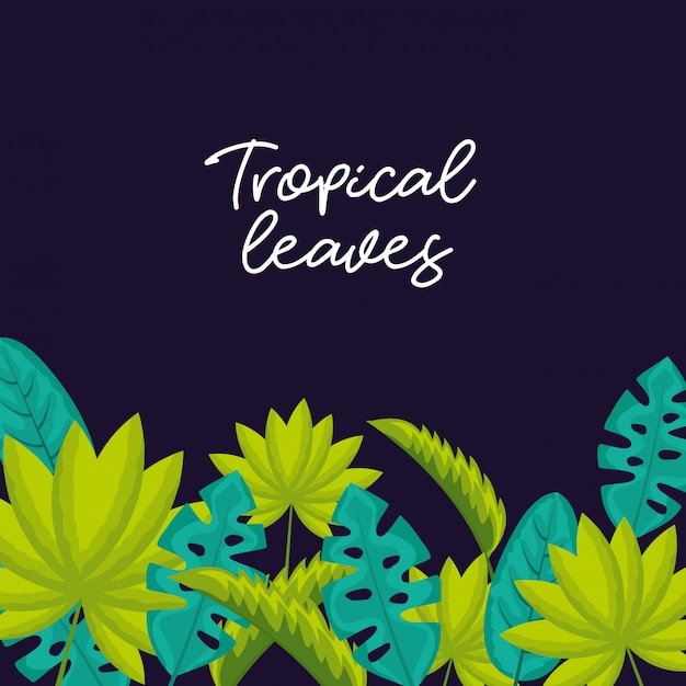 Feuilles Naturelles Tropicales