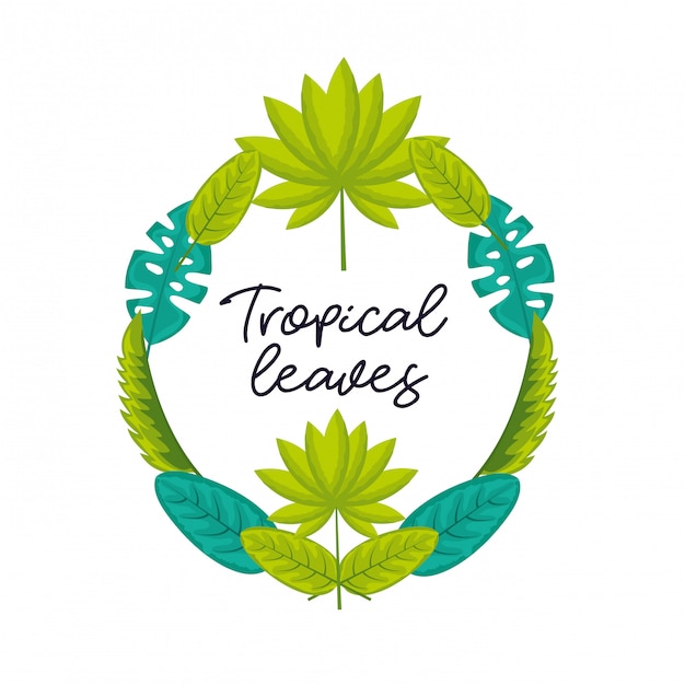 Feuilles Naturelles Tropicales