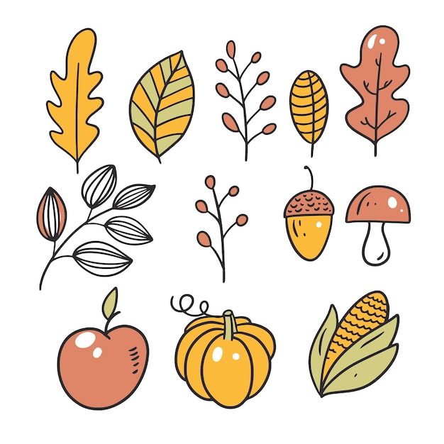 Feuilles et noix de champignon pomme citrouille