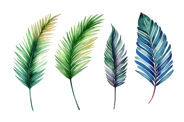 Feuilles de palmier collection décorative botanique nature Illustration vectorielle collection isolée ensemble de feuilles tropicales