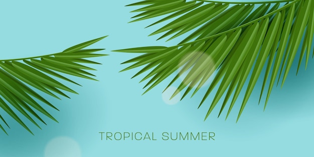 Feuilles De Palmier Tropical Sur Fond Bleu Vif Avec Sup Flare Rayons Fond De Vacances D'été