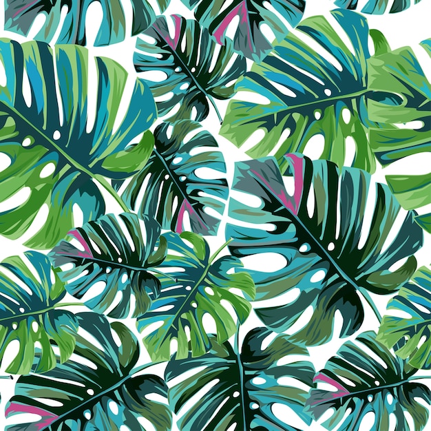 Feuilles de palmiers tropicaux