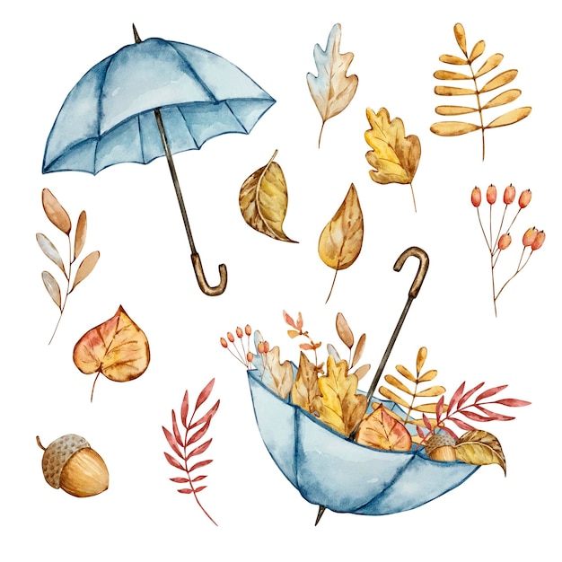 Feuilles Et Parapluie Bleu Composition Automne Aquarelle