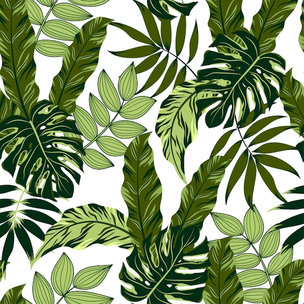 Feuilles Et Plantes Tropicales