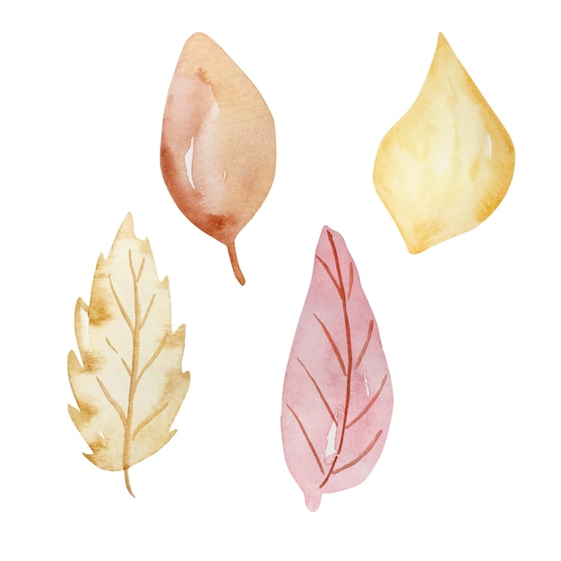 Vecteur feuilles tendres à l'aquarelle