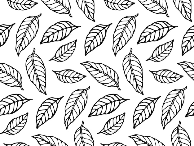 Feuilles de thé croquis modèle sans couture Feuilles noires et blanches fond Illustration vectorielle botanique