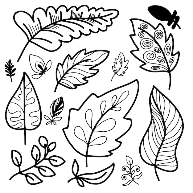 Feuilles Tropicales Dans Le Style De Griffon Pour Les Autocollants De Page à Colorier Décoration Carte Postale Illustration Vectorielle