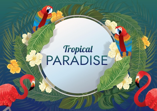 Feuilles tropicales et fond d'éléments tropicaux