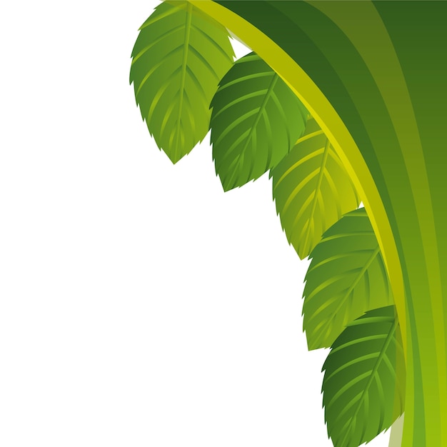 Feuilles vertes esprit espace pour illustration vectorielle copie