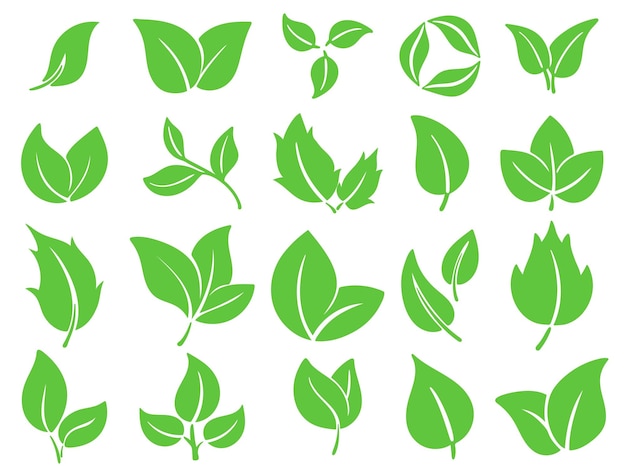 Les feuilles vertes fraîches les icônes du printemps et de l'été les jeunes feuilles des arbres la silhouette des feuilles de différentes
