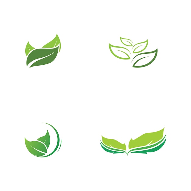Feuilles vertes logogreen leaf icons set modèle vectoriel