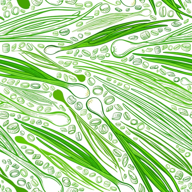 Vecteur feuilles vertes d'oignon modèle sans couture vectoriel récolte