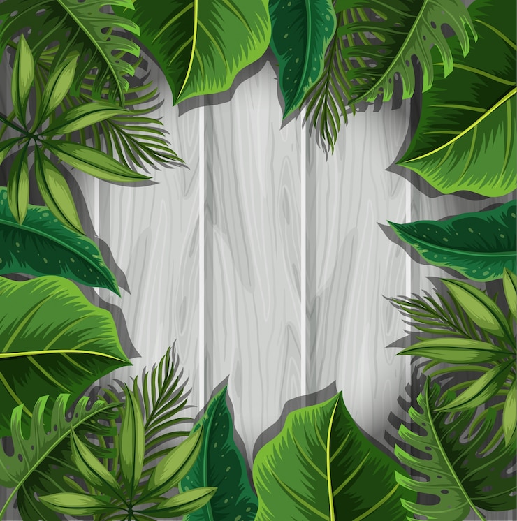 Vecteur feuilles vertes sur une planche de bois gris