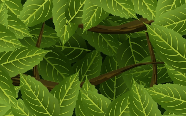 Feuilles vertes vector background nature avec espace de copie