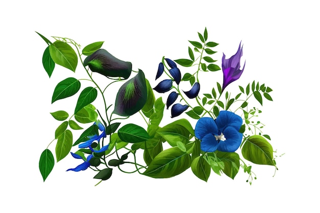 Feuilles vertes vignes avec fleurs bleues de pigeon asiatique conception d'illustration vectorielle
