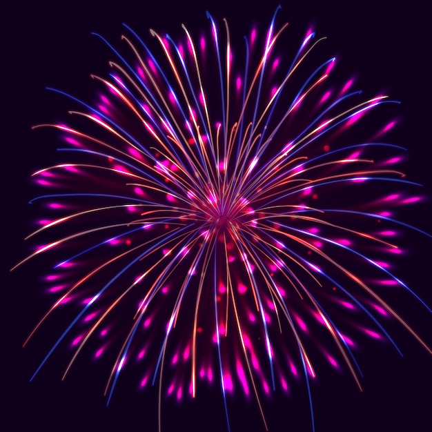 Vecteur des feux d'artifice d'une belle concentration de feux dartifice colorés dans un fond isolé