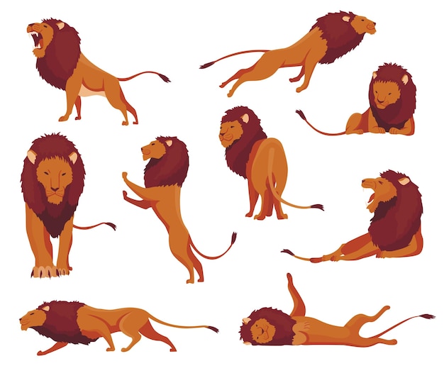Vecteur fier personnage de lion puissant dans différentes actions définies roi des animaux collection de mignons chats sauvages de dessin animé illustrations vectorielles isolées sur fond blanc