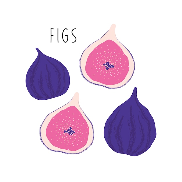 Figues Mûres Dessinées à La Main Dans Une Coupe.