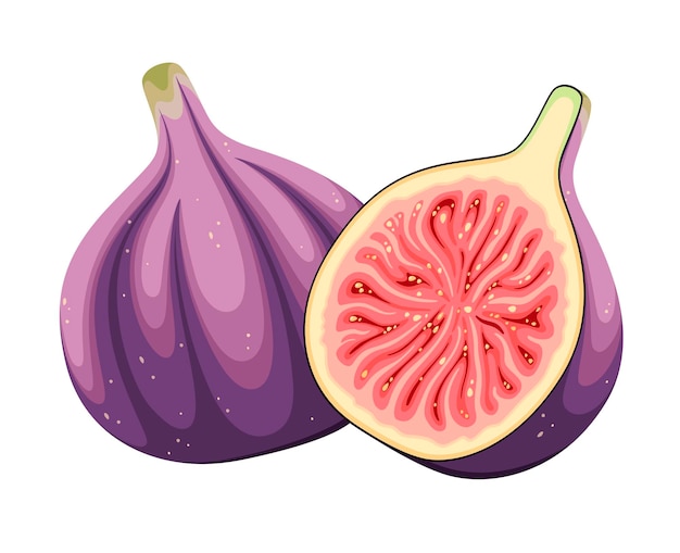 Figues Mûres Sur Fond Blanc. Conception De Dessin Animé.