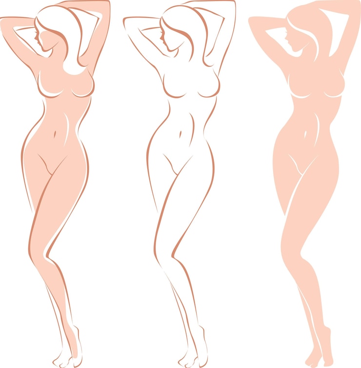 Vecteur figure gracieuse du corps féminin