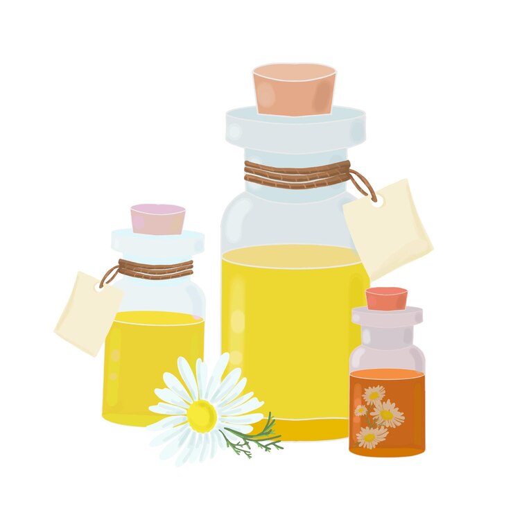 Vecteur flacons transparents avec huile essentielle et fleurs de camomille teinture d'aromathérapie à l'huile cosmétique