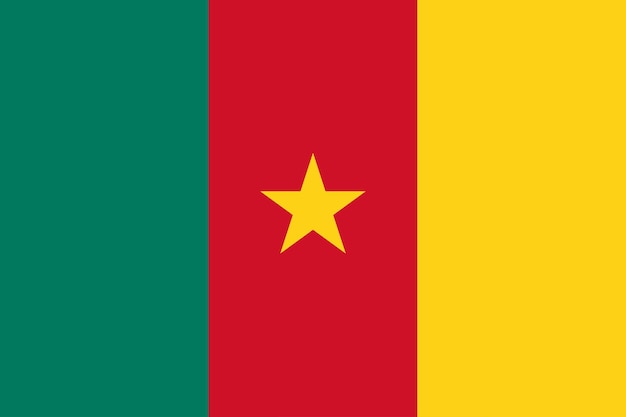 Vecteur flag_of_cameroun