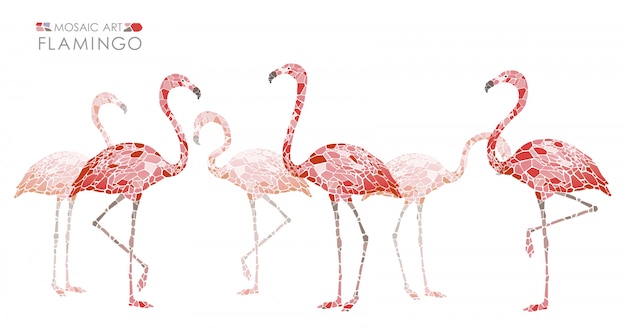 Flamants Roses En Mosaïque Isolés. Illustration Vectorielle