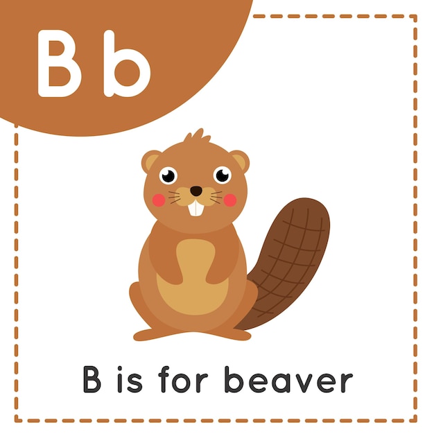 Flashcard Alphabet Animal Pour Les Enfants. La Lettre D'apprentissage B. B Est Pour Le Castor.