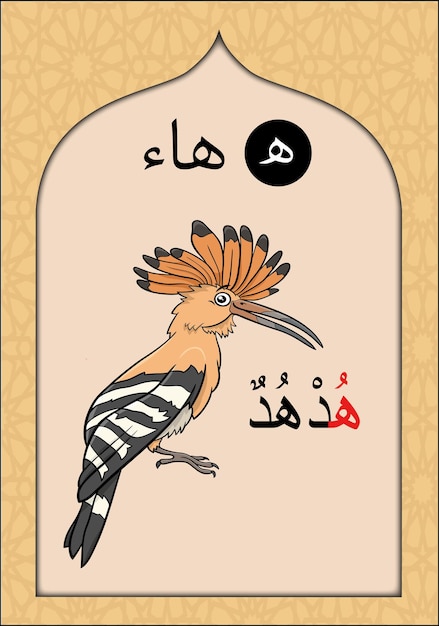 Flashcard Alphabet Arabe Pour Les Enfants Et Les Enfants Avec La Lettre Haa