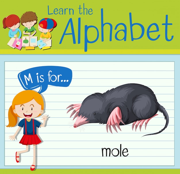 Flashcard Lettre M Est Pour Mole