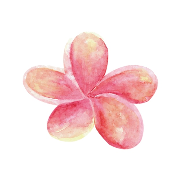 Fleur Aquarelle Tropicale Belle Illustration Dessinée à La Main