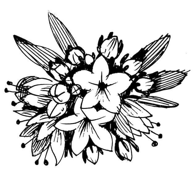 Vecteur fleur botanique florale. illustration isolée