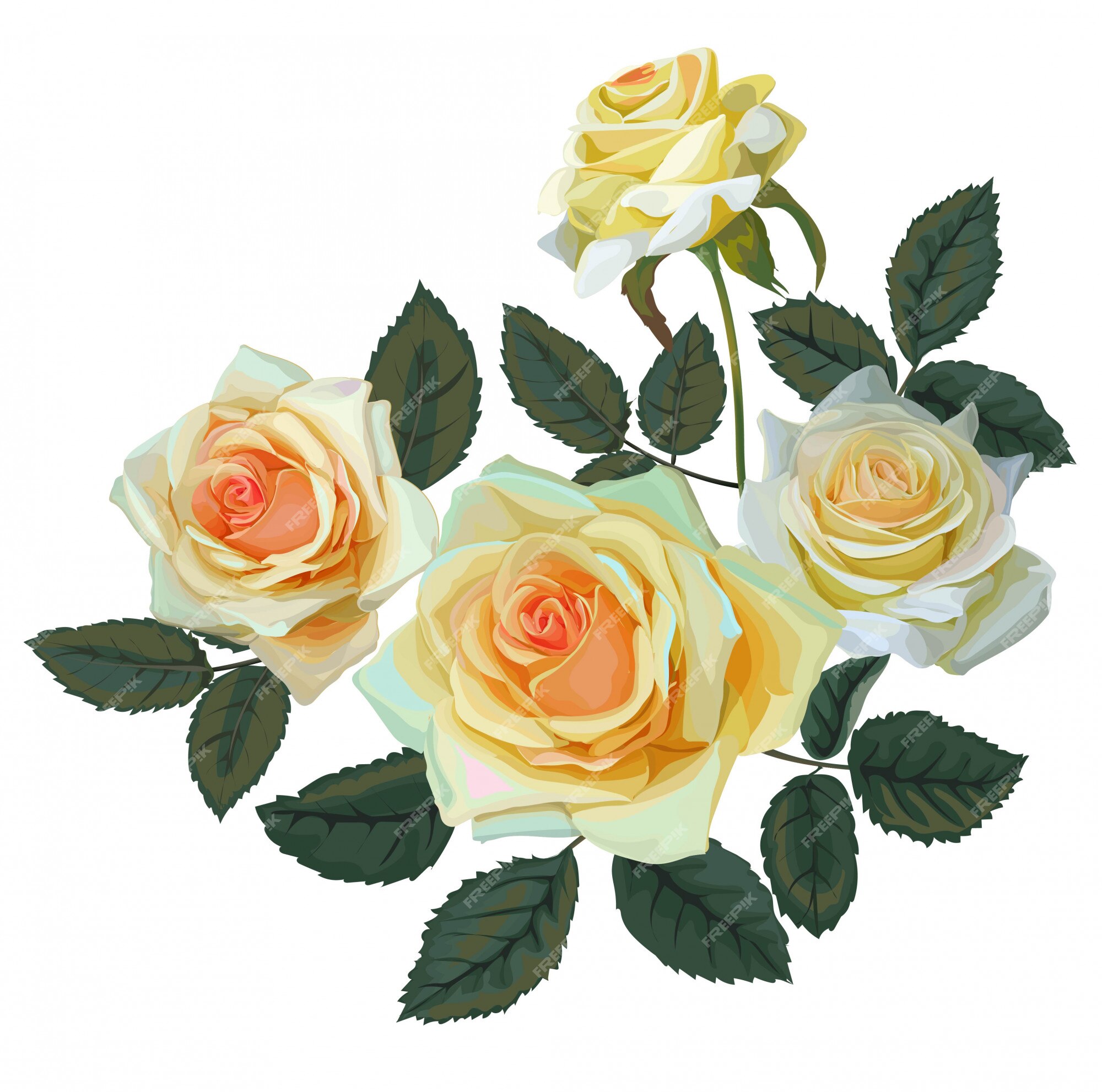 Fleur De Bouquet De Rose Jaune -vector | Vecteur Premium