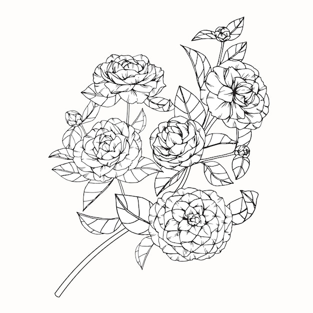 Fleur de camélia