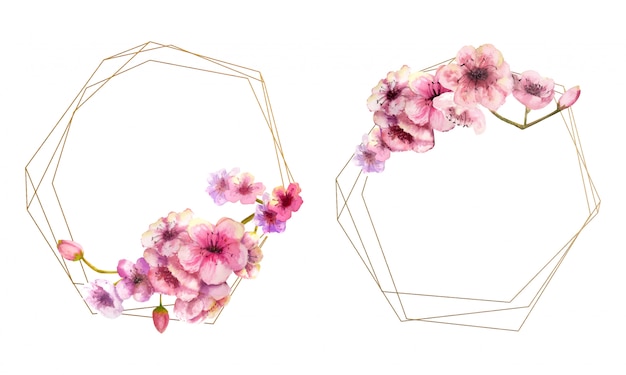 Fleur de cerisier, branche de Sakura avec des fleurs roses sur cadre doré et isolé sur blanc. Image du printemps. 2 cadres avec des fleurs à l'aquarelle. illustration.