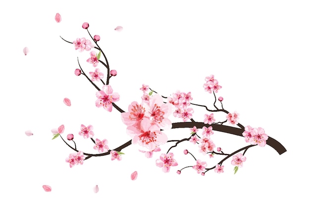 La Fleur De Cerisier Célèbre Le Jour De La Fleur De Cerisier En Pleine Floraison