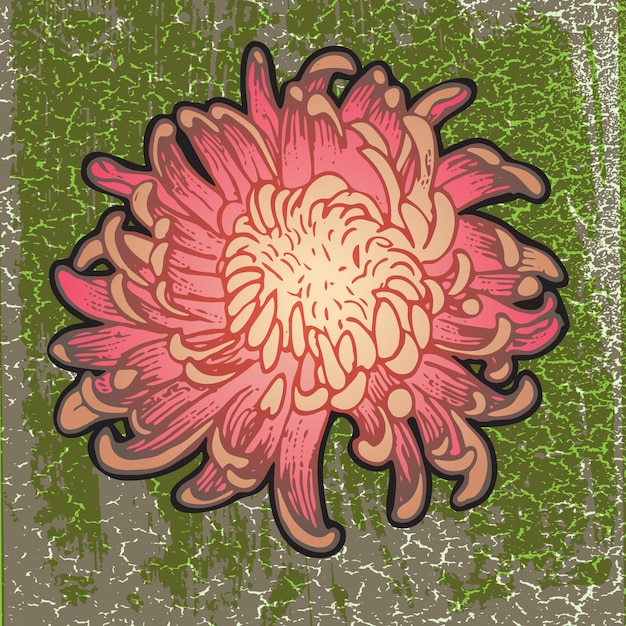 Fleur De Chrysanthème Dans Le Style Du Pop Art, Moderne, Graphique, Texture