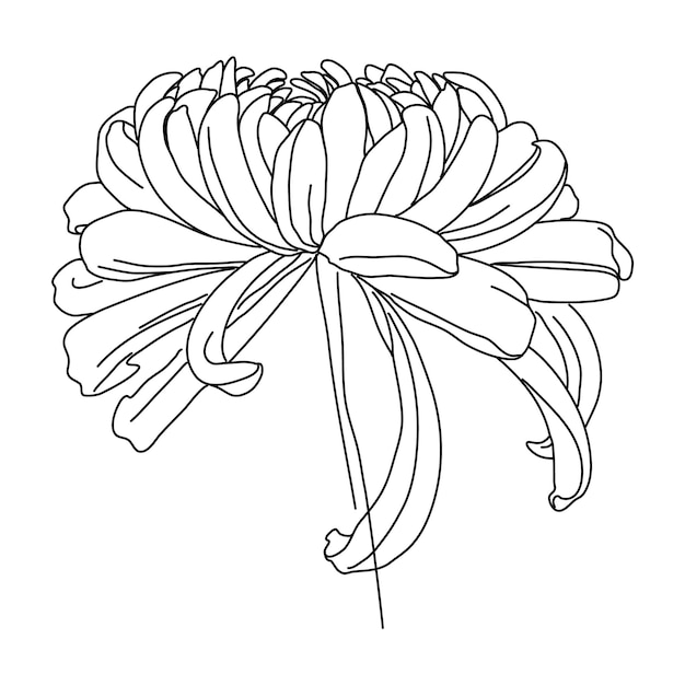 Fleur Dessin Au Trait. Style minimaliste floral. Symbole Naturel. Impression botanique. Ligne continue