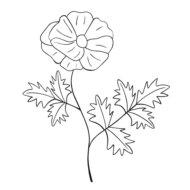 Fleur Dessinée à La Main Isolée Sur Fond Blanc élément D'été Floral Vectoriel Illustration De Croquis De Doodle Décoratif