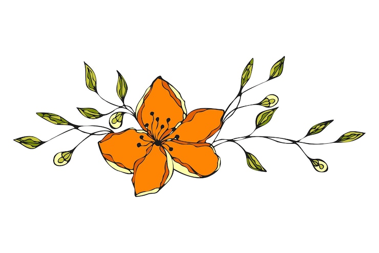 Vecteur fleur doodle ornement floral dessiné à la main couleur orange et verte