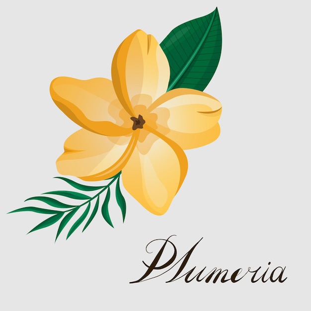 Vecteur fleur et feuilles de plumeria dessinant une illustration pour des affiches de bannière de modèle de logo de modèle