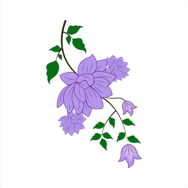 Fleur De Géranium Silvaticum Floral Vector Illustration Sur Fond Blanc