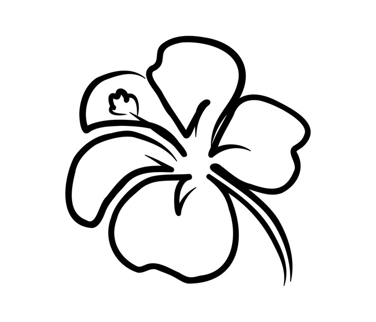 Fleur d'hibiscus dans un dessin en ligne continue Symbole abstrait floral dans un style linéaire simple Concept de thé à base de plantes rouge organique en trait modifiable Illustration vectorielle de contour de Doodle