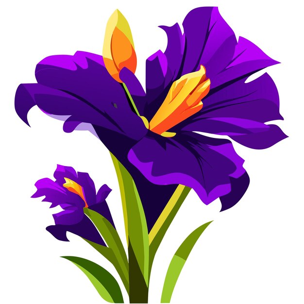 Vecteur fleur d'iris violette avec des éléments jaunes vifs sur le ressort des pétales