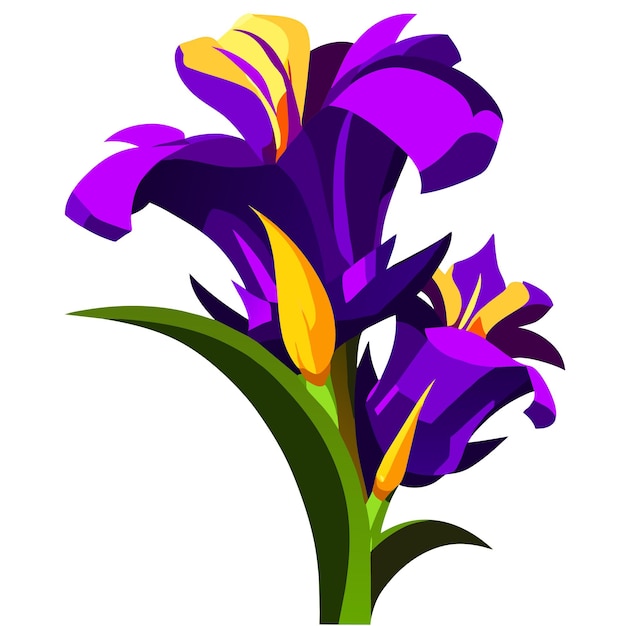 Vecteur fleur d'iris violette avec des éléments jaunes vifs sur le ressort des pétales